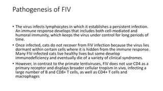 Fiv Cell Fiv | PPTX