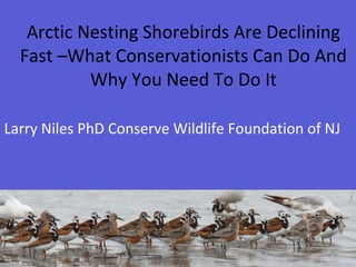 Arctic Nesting Shorebirds Are Declining
Fast –What Conservationists Can Do And
Why You Need To Do It
Larry Niles PhD Conserve Wildlife Foundation of NJ

 