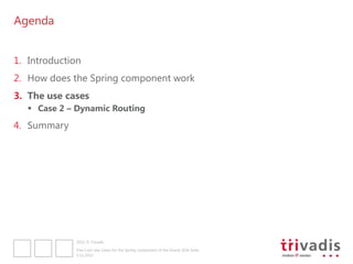 Agenda


1. Introduction
2. How does the Spring component work
3. The use cases
    Case 2 – Dynamic Routing
4. Summary




              2012 © Trivadis

              Five Cool Use Cases for the Spring component of the Oracle SOA Suite
              3.12.2012
 