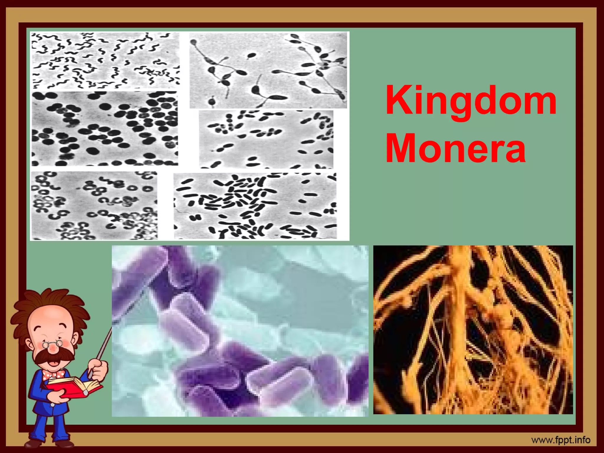 Five kingdom Classification | PPT