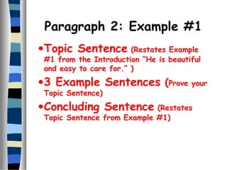 Five paragraph essay | PPT