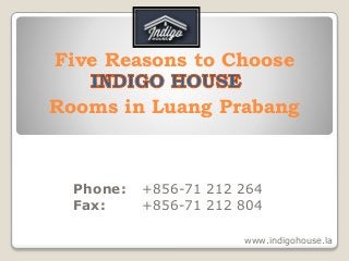 Five Reasons to Choose
Phone: +856-71 212 264
Fax: +856-71 212 804
Rooms in Luang Prabang
www.indigohouse.la
 