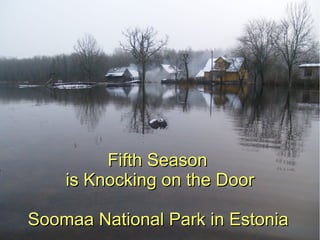 Fifth Season  is Knocking on the Door Soomaa National Park in Estonia   