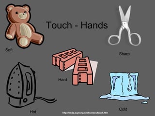 Touch - Hands Soft Cold Sharp Hot Hard http://freda.auyeung.net/5senses/touch.htm 