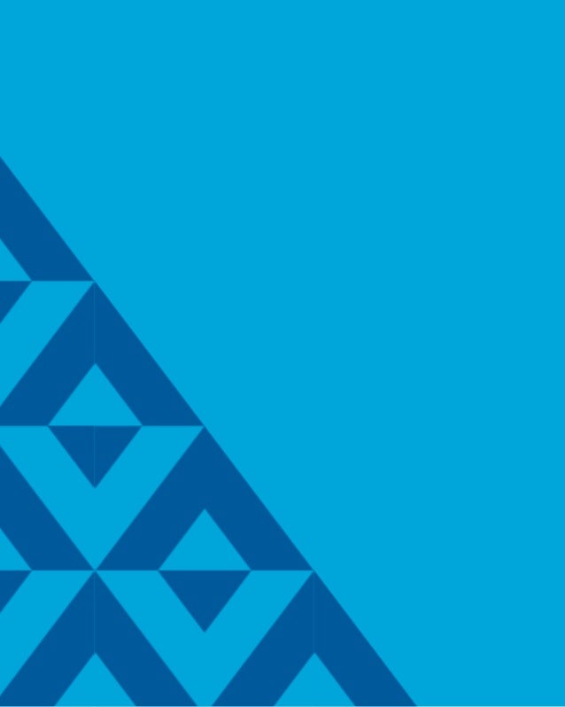 Five year-progress-report iskandar