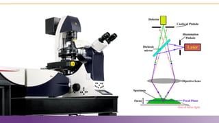 Preclinical imaging with fluorescence in vivo endomicroscopy | PDF