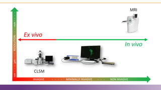 Fluorescence in vivo Endomicroscopy: Imaging and Analysis (Co-Hosted w ...