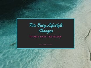 Five Easy Lifestyle Changes to Help Save the Ocean