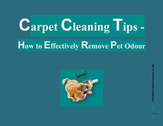 http://ChemDryCarpetcLeaners.co.uk/
1
Carpet Cleaning Tips -
How to Effectively Remove Pet Odour
 