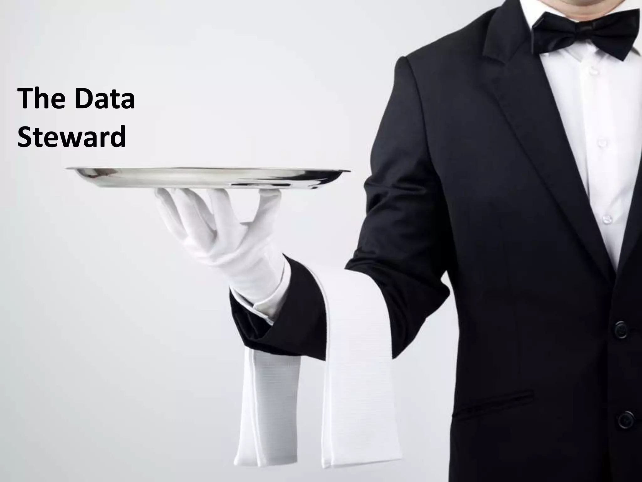 The Data
Steward
 