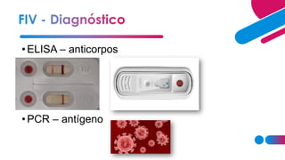 •ELISA – anticorpos
•PCR – antígeno
 