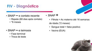• SNAP – e contato recente
• Repete (60 dias após contato)
• *6 meses
• SNAP – e teimosia
• Fase terminal
• Troca de teste
• SNAP +
• Filhote = Ac materno até 16 semanas
de idade (*2 meses)
• Sangue total = falso positivo
• Vacina (EUA)
 