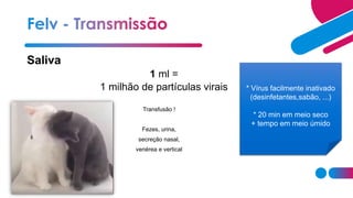 Saliva
1 ml =
1 milhão de partículas virais
Transfusão !
Fezes, urina,
secreção nasal,
venérea e vertical
* Vírus facilmente inativado
(desinfetantes,sabão, ...)
* 20 min em meio seco
+ tempo em meio úmido
 