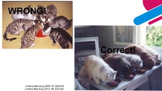 J Feline Med Surg 2009; 11: 565-574
J Feline Med Surg 2013; 15: 534-535
 