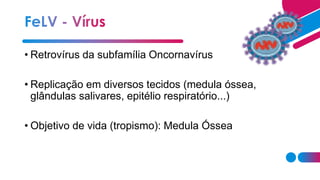• Retrovírus da subfamília Oncornavírus
• Replicação em diversos tecidos (medula óssea,
glândulas salivares, epitélio respiratório...)
• Objetivo de vida (tropismo): Medula Óssea
 