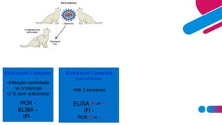 Eliminação Completa
•Infecção controlada
na orofaringe
•2 % sem anticorpos
PCR -
ELISA –
IFI -
Eliminação Completa
pós viremia
•Até 3 semanas
ELISA + -> -
IFI -
PCR + -> -
 