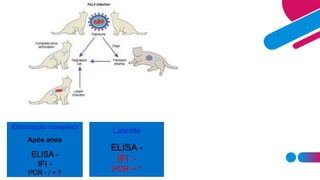 Latente
ELISA -
IFI -
PCR + *
Eliminação completa
Após anos
ELISA -
IFI -
PCR - / + ?
 
