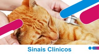 Sinais Clínicos
 