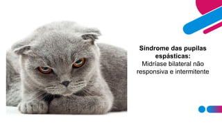 Síndrome das pupilas
espásticas:
Midríase bilateral não
responsiva e intermitente
 