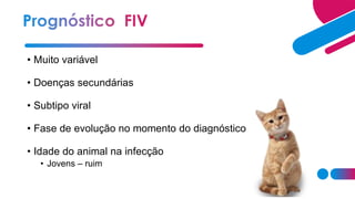• Muito variável
• Doenças secundárias
• Subtipo viral
• Fase de evolução no momento do diagnóstico
• Idade do animal na infecção
• Jovens – ruim
 