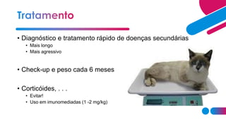 • Diagnóstico e tratamento rápido de doenças secundárias
• Mais longo
• Mais agressivo
• Check-up e peso cada 6 meses
• Corticóides, . . .
• Evitar!
• Uso em imunomediadas (1 -2 mg/kg)
 