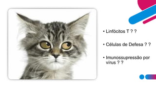 • Linfócitos T ? ?
• Células de Defesa ? ?
• Imunossupressão por
vírus ? ?
 