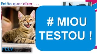70%
FIV
FELV
3ª
FIV
2ª
FELV
# MIOU
TESTOU !
 
