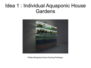 Philips Biosphere Home Farming Prototype  Idea 1 : Individual Aquaponic House Gardens 