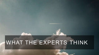 WHAT THE EXPERTS THINK

 