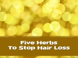 Five Herbs
To Stop Hair Loss
 