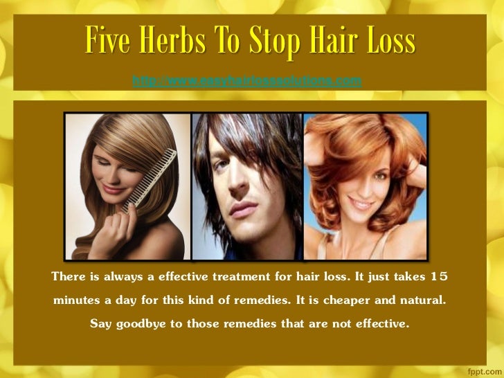Natural Herbs To Stop Hair Loss 21 Ways To Prevent Hair Loss