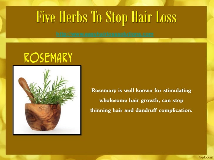 Five Herbs To Stop Hair Loss