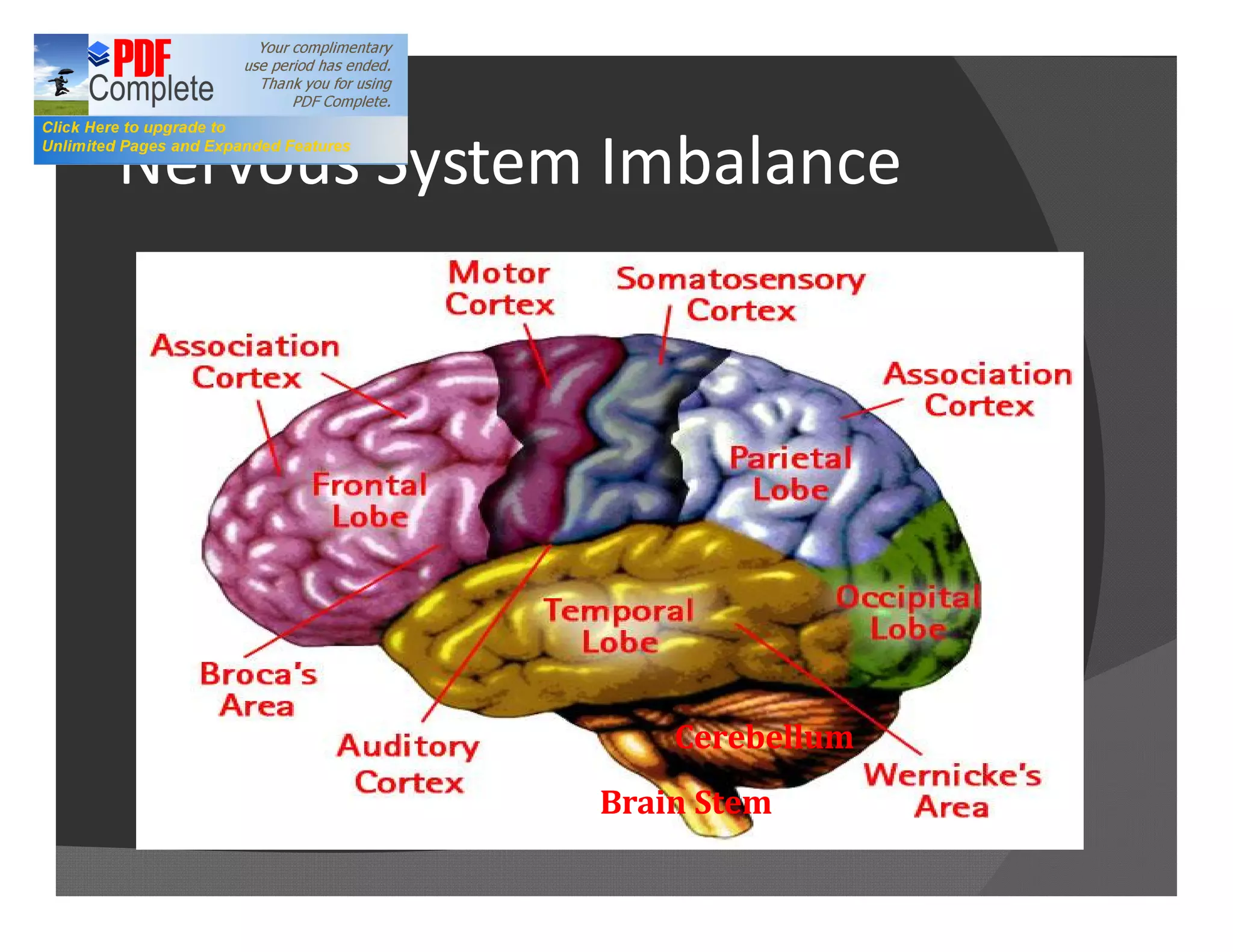Nervous System Imbalance




                  Cerebellum
              Brain Stem
 