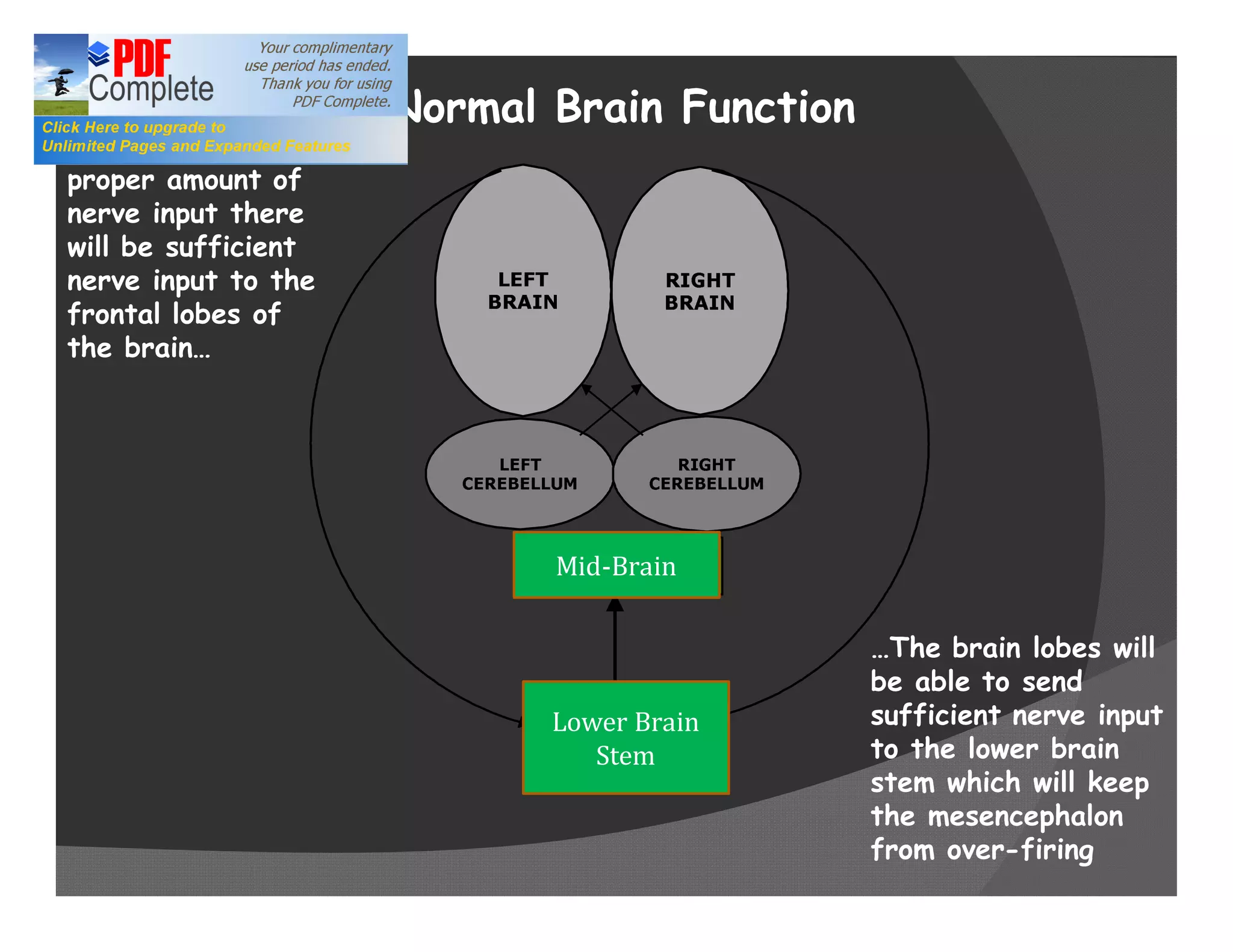 As long as the
cerebellum is        Normal Brain Function
receiving the
proper amount of
nerve input there
will be sufficient
nerve input to the
frontal lobes of
the brain




                            Mid-Brain

                                              The brain lobes will
                                             be able to send
                            Lower Brain      sufficient nerve input
                               Stem          to the lower brain
                                             stem which will keep
                                             the mesencephalon
                                             from over-firing
 