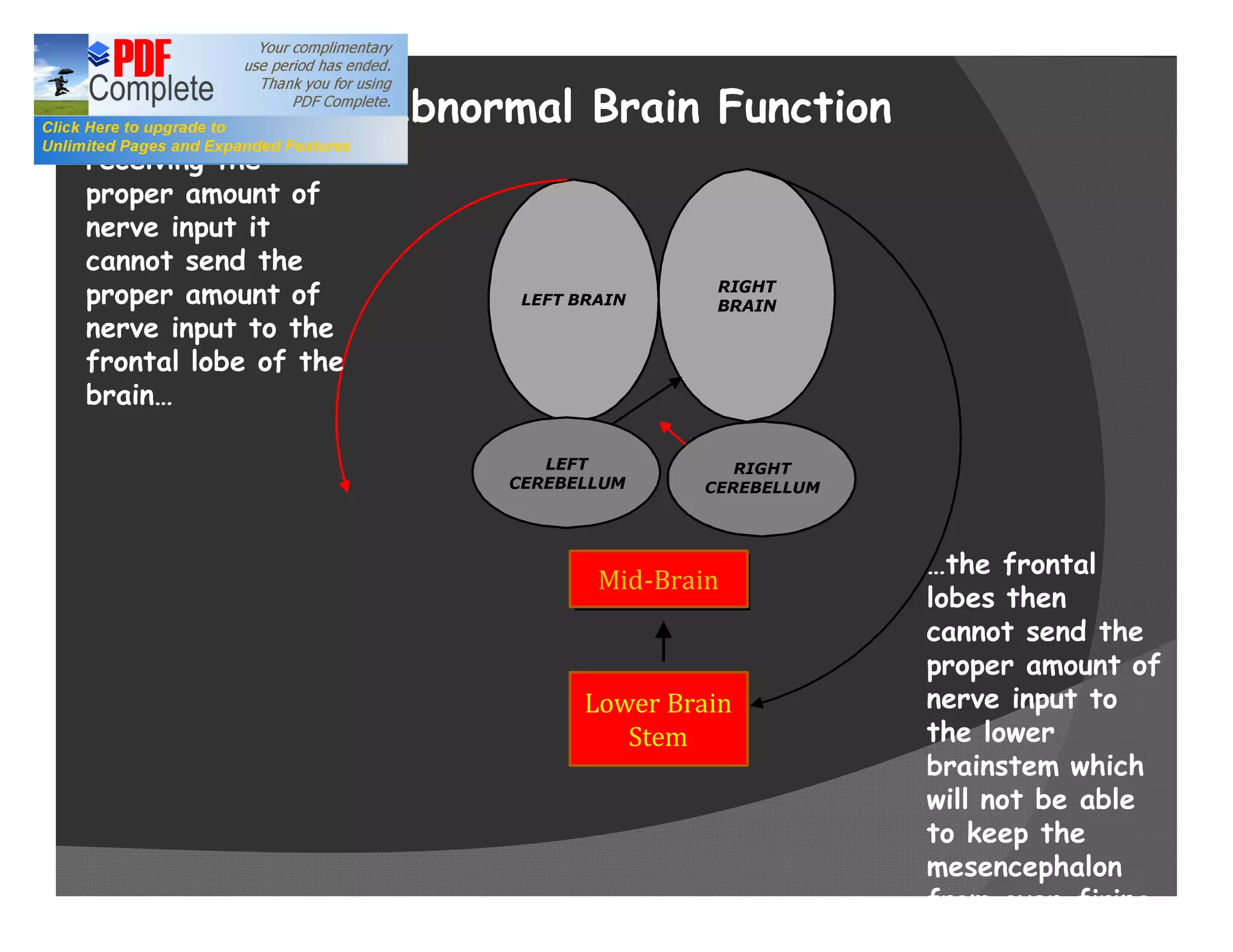 If one side of the
cerebellum is not     Abnormal Brain Function
receiving the
proper amount of
nerve input it
cannot send the
proper amount of            LEFT BRAIN

nerve input to the
frontal lobe of the
brain

                                             RIGHT
                                          CEREBELLUM




                                                         the frontal
                                   Mid-Brain
                                                       lobes then
                                                       cannot send the
                                                       proper amount of
                                      PONS
                                  Lower Brain
                                    ________
                                                       nerve input to
                                     Stem              the lower
                                    MEDULLA
                                                       brainstem which
                                                       will not be able
                                                       to keep the
                                                       mesencephalon
                                                       from over-firing
 