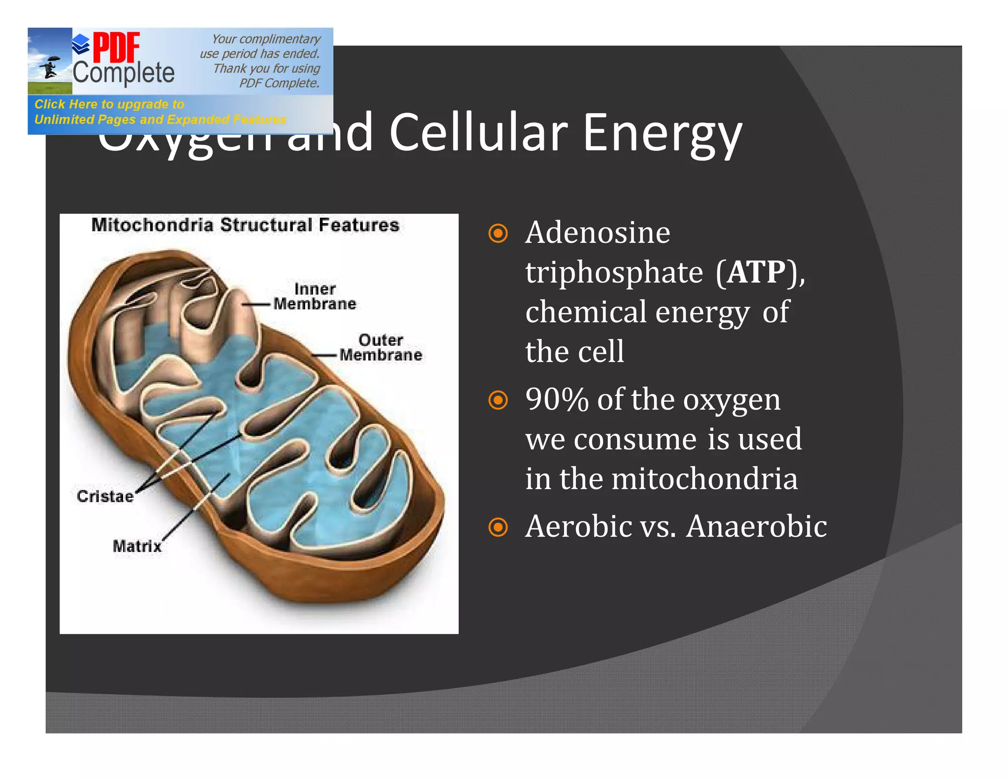 Oxygen and Cellular Energy
               ž Adenosine
                 triphosphate (ATP),
                 chemical energy of
                 the cell
               ž 90% of the oxygen
                 we consume is used
                 in the mitochondria
               ž Aerobic vs. Anaerobic
 