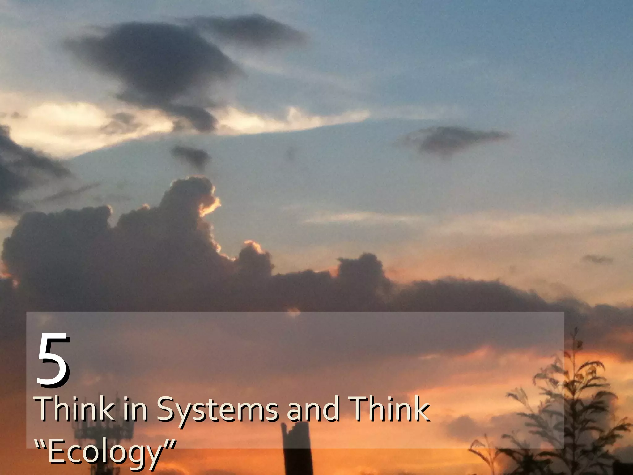 Slide Perfect!Slide Perfect!
PowerPoint has new layouts that
give you more ways to present your
words, images and media.
Everything you add into the layout
placeholders is arranged perfectly
for you.
55
Think in Systems and ThinkThink in Systems and Think
“Ecology”“Ecology”
 