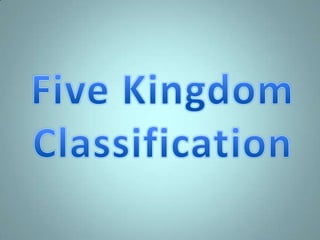 FIVE KINGDOM CLASSIFICATION SHORT DEFINITION visual data 8