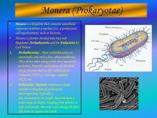 •

Monera is a kingdom that contains unicellular
organisms without a nucleus (i.e., a prokaryotic
cell organization), such as bacteria.
• Monera is further divided into two subkingdoms: Archaebacteria and the Eubacteria by
Carl Woese.
1.
Archaebacteria:- Most archaebacteria are
autotrophs and only a few, photosynthesize.
They derive their energy from their metabolic
activities, from the oxidization of chemical
energy sources such as the reduced gases –
Ammonia (NHO₃) , hydrogen sulphide
(H₂S), etc.
2.
Eubacteria:- Bacteria constitute a large
domain or kingdom of prokaryotic
microorganisms Typically a
few micrometeres in length, bacteria have a
wide range of shapes, ranging from spheres to
rods and spirals. Bacteria were among the first
life forms to appear on Earth.

 