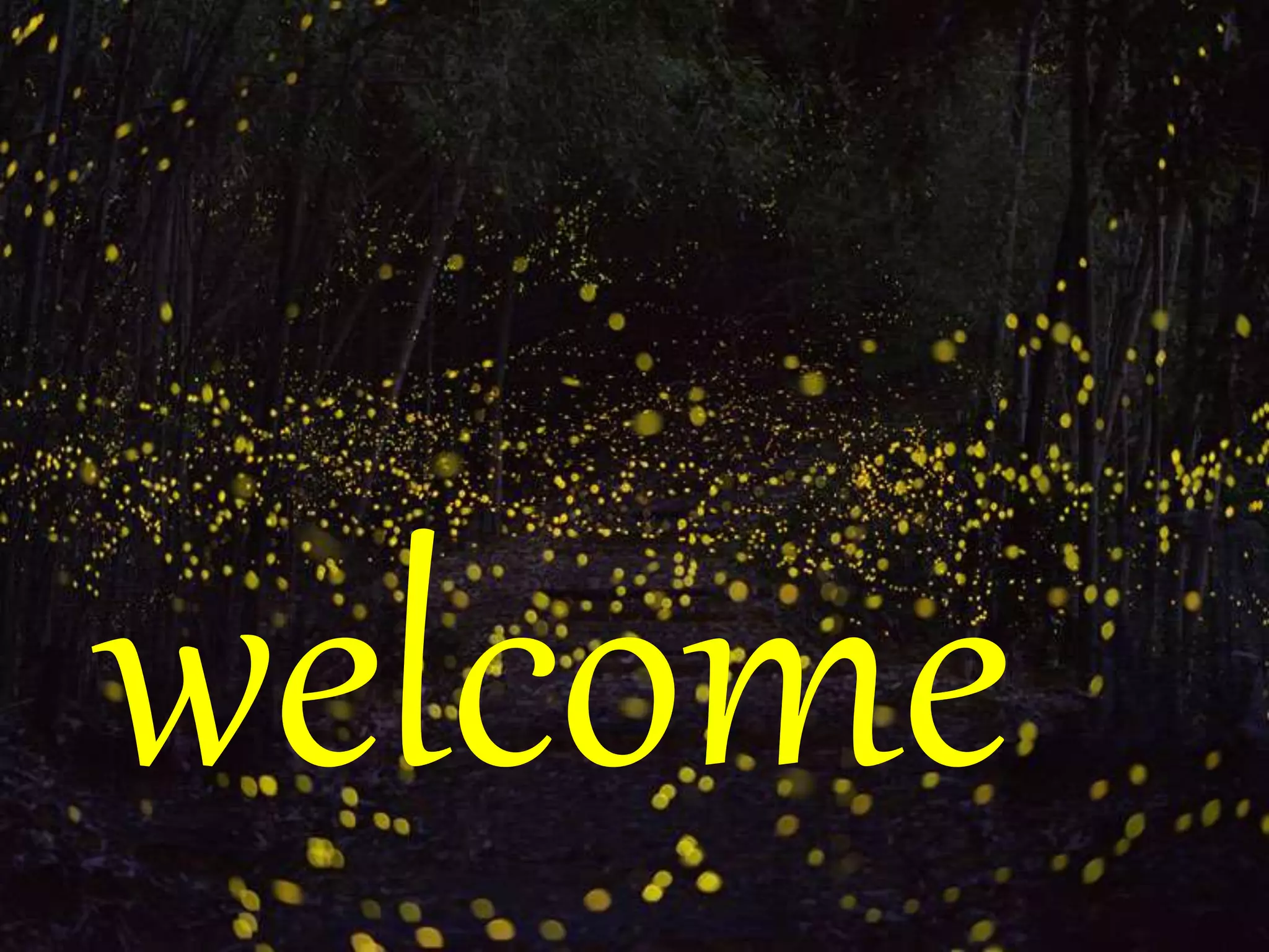 welcome