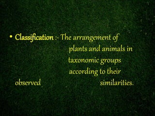 • Classification :- The arrangement of 
plants and animals in 
taxonomic groups 
according to their 
observed similarities. 
 
