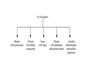 Five kingdom classification | PPTX
