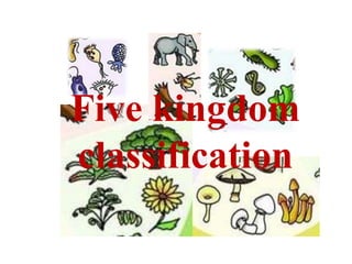 Five kingdom
classification
 