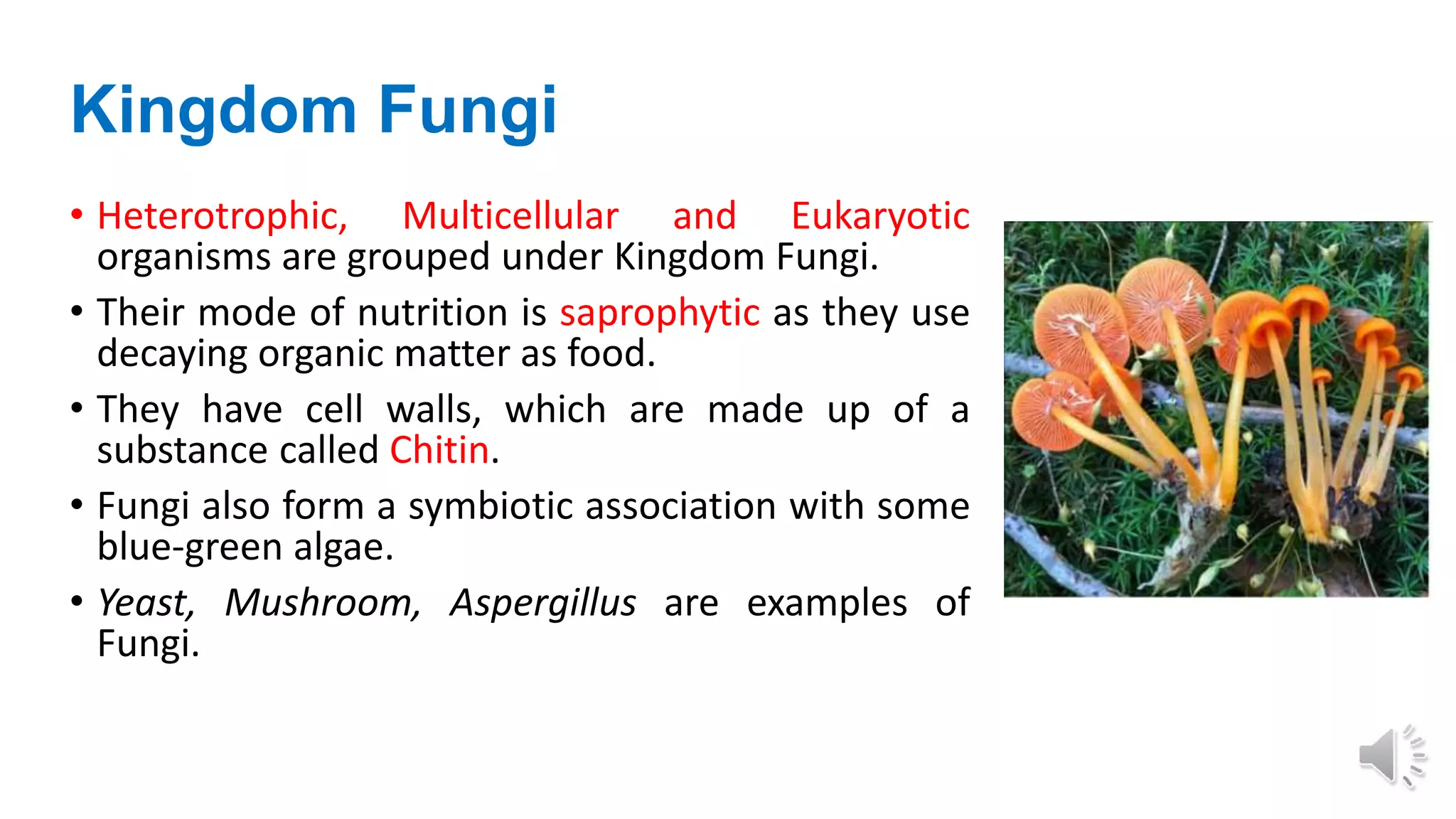 Kingdom Fungi
• Heterotrophic, Multicellular and Eukaryotic
organisms are grouped under Kingdom Fungi.
• Their mode of nutrition is saprophytic as they use
decaying organic matter as food.
• They have cell walls, which are made up of a
substance called Chitin.
• Fungi also form a symbiotic association with some
blue-green algae.
• Yeast, Mushroom, Aspergillus are examples of
Fungi.
 