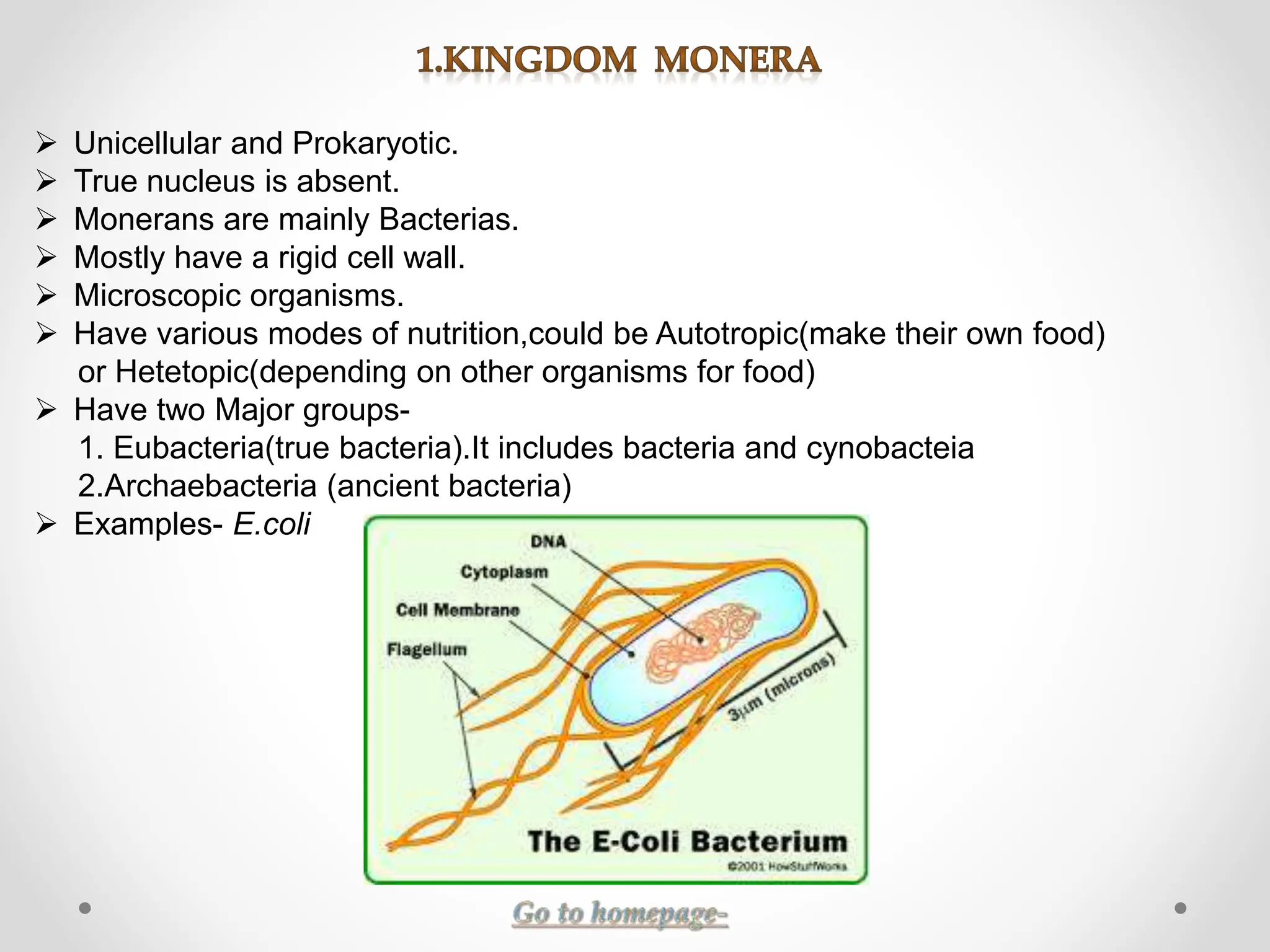 Five Kingdom Classification by Whittaker | PPTX
