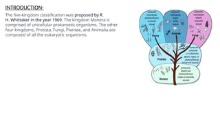 INTRODUCTION-
The five-kingdom classification was proposed by R.
H. Whittaker in the year 1969. The kingdom Monera is
comprised of unicellular prokaryotic organisms. The other
four kingdoms, Protista, Fungi, Plantae, and Animalia are
composed of all the eukaryotic organisms.
 