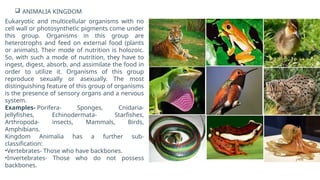  ANIMALIA KINGDOM
Eukaryotic and multicellular organisms with no
cell wall or photosynthetic pigments come under
this group. Organisms in this group are
heterotrophs and feed on external food (plants
or animals). Their mode of nutrition is holozoic.
So, with such a mode of nutrition, they have to
ingest, digest, absorb, and assimilate the food in
order to utilize it. Organisms of this group
reproduce sexually or asexually. The most
distinguishing feature of this group of organisms
is the presence of sensory organs and a nervous
system.
Examples- Porifera- Sponges, Cnidaria-
Jellyfishes, Echinodermata- Starfishes,
Arthropoda- insects, Mammals, Birds,
Amphibians.
Kingdom Animalia has a further sub-
classification:
•Vertebrates- Those who have backbones.
•Invertebrates- Those who do not possess
backbones.
 