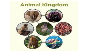 Five kingdom classification by Robert H whittaker | PPTX