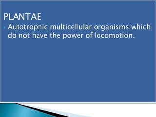 PLANTAE 
 Autotrophic multicellular organisms which 
do not have the power of locomotion. 
 