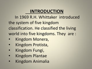 what is the five kingdom system